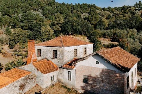 Farm i Tabuaco, Viseu, Tabuaco - € 535.000 | Ref: 777358 - foto 3
