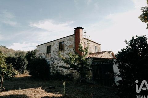 Farm i Tabuaco, Viseu, Tabuaco - € 535.000 | Ref: 777358 - foto 7