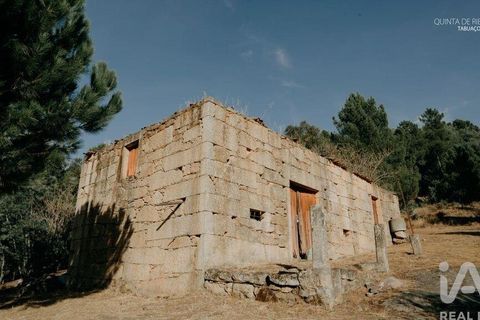 Farm i Tabuaco, Viseu, Tabuaco - € 535.000 | Ref: 777358 - foto 11