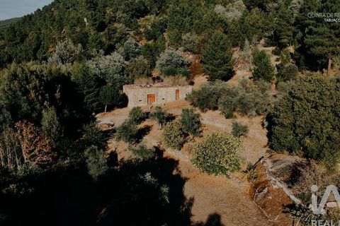 Farm i Tabuaco, Viseu, Tabuaco - € 535.000 | Ref: 777358 - foto 20