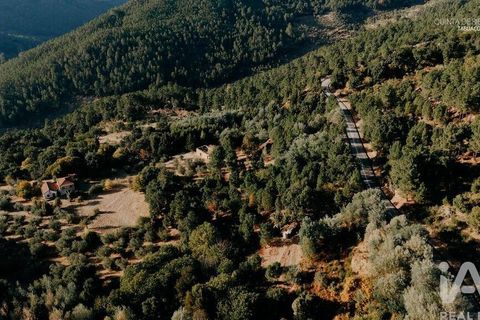 Farm i Tabuaco, Viseu, Tabuaco - € 535.000 | Ref: 777358 - foto 21