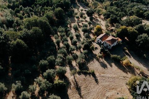 Farm i Tabuaco, Viseu, Tabuaco - € 535.000 | Ref: 777358 - foto 22