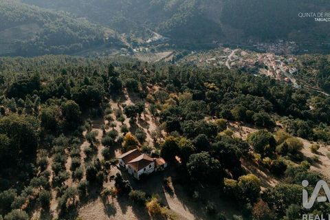 Farm i Tabuaco, Viseu, Tabuaco - € 535.000 | Ref: 777358 - foto 23