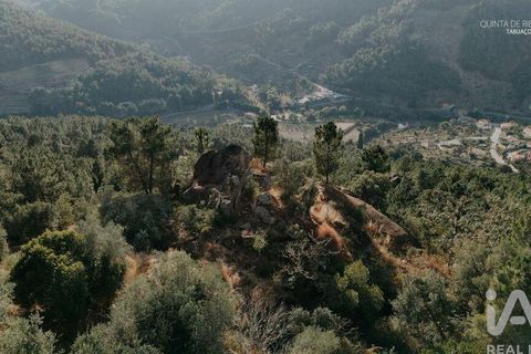 Farm i Tabuaco, Viseu, Tabuaco - € 535.000 | Ref: 777358 - foto 24