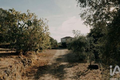 Farm i Tabuaco, Viseu, Tabuaco - € 535.000 | Ref: 777358 - foto 25