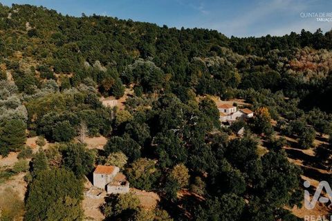 Farm i Tabuaco, Viseu, Tabuaco - € 535.000 | Ref: 777358 - foto 26