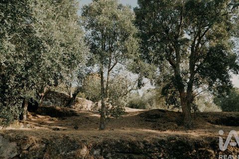 Farm i Tabuaco, Viseu, Tabuaco - € 535.000 | Ref: 777358 - foto 29