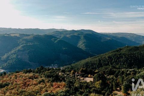 Farm i Tabuaco, Viseu, Tabuaco - € 535.000 | Ref: 777358 - foto 30