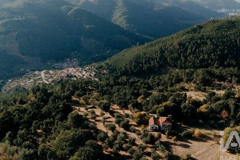 Farm i Tabuaco, Viseu, Tabuaco - € 535.000 | Ref: 777358 - foto 31