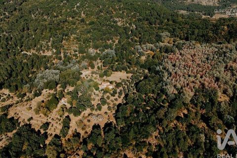 Farm i Tabuaco, Viseu, Tabuaco - € 535.000 | Ref: 777358 - foto 32