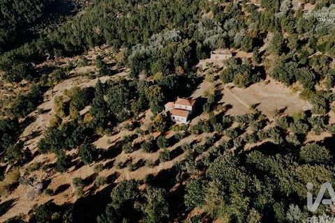 Farm i Tabuaco, Viseu, Tabuaco - € 535.000 | Ref: 777358 - foto 34