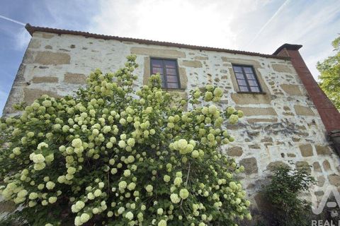 Farm i Tabuaco, Viseu, Tabuaco - € 535.000 | Ref: 777358 - foto 1