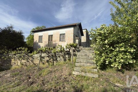 Farm i Tabuaco, Viseu, Tabuaco - € 535.000 | Ref: 777358 - foto 5