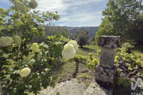 Farm i Tabuaco, Viseu, Tabuaco - € 535.000 | Ref: 777358 - foto 6