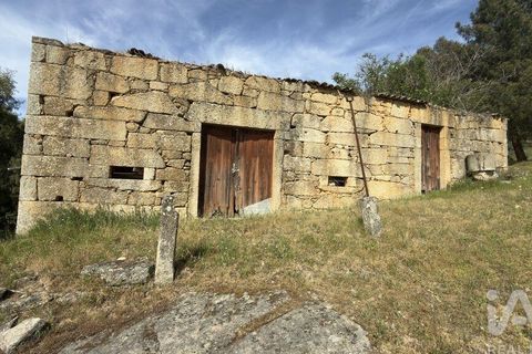 Farm i Tabuaco, Viseu, Tabuaco - € 535.000 | Ref: 777358 - foto 10