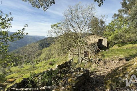 Farm i Tabuaco, Viseu, Tabuaco - € 535.000 | Ref: 777358 - foto 12