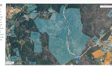 Farm i Tabuaco, Viseu, Tabuaco - € 535.000 | Ref: 777358 - foto 39