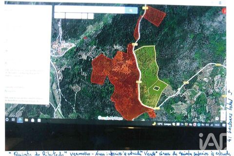 Farm i Tabuaco, Viseu, Tabuaco - € 535.000 | Ref: 777358 - foto 40