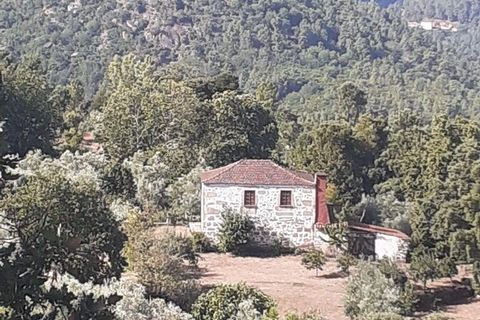 Farm i Tabuaco, Viseu, Tabuaco - € 535.000 | Ref: 777358 - foto 9