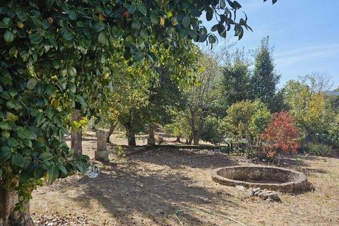 Farm i Tabuaco, Viseu, Tabuaco - € 535.000 | Ref: 777358 - foto 17