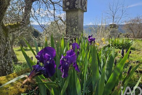 Farm i Tabuaco, Viseu, Tabuaco - € 535.000 | Ref: 777358 - foto 19