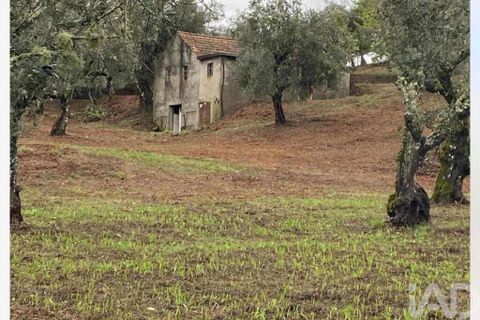 Byhus i Serta, Castelo Branco, Serta - € 57.000 | Ref: 787038 - foto 1