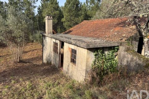 Byhus i Serta, Castelo Branco, Serta - € 57.000 | Ref: 787038 - foto 3