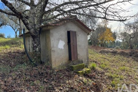Byhus i Serta, Castelo Branco, Serta - € 57.000 | Ref: 787038 - foto 4