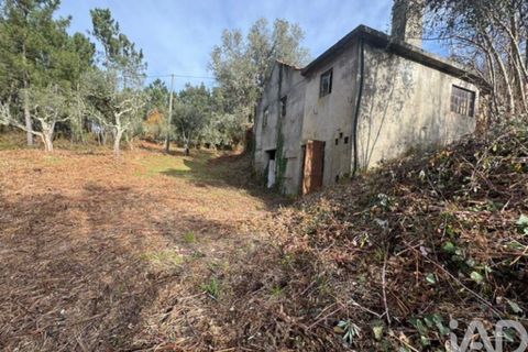 Byhus i Serta, Castelo Branco, Serta - € 57.000 | Ref: 787038 - foto 21