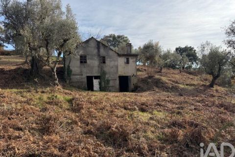 Byhus i Serta, Castelo Branco, Serta - € 57.000 | Ref: 787038 - foto 22
