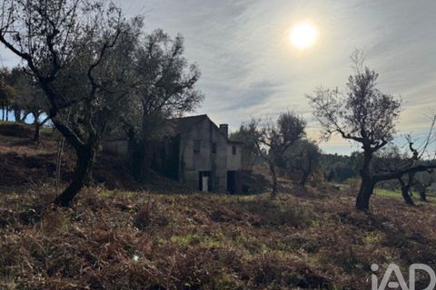 Byhus i Serta, Castelo Branco, Serta - € 57.000 | Ref: 787038 - foto 25