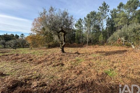 Byhus i Serta, Castelo Branco, Serta - € 57.000 | Ref: 787038 - foto 26