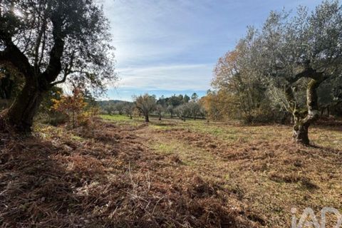 Byhus i Serta, Castelo Branco, Serta - € 57.000 | Ref: 787038 - foto 27