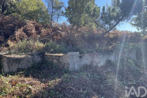 Byhus i Serta, Castelo Branco, Serta - € 57.000 | Ref: 787038 - foto 29