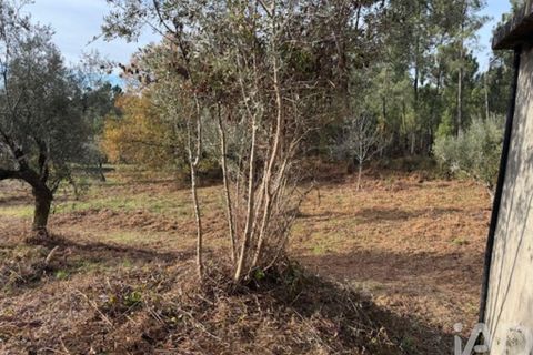 Byhus i Serta, Castelo Branco, Serta - € 57.000 | Ref: 787038 - foto 31