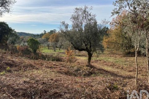 Byhus i Serta, Castelo Branco, Serta - € 57.000 | Ref: 787038 - foto 32