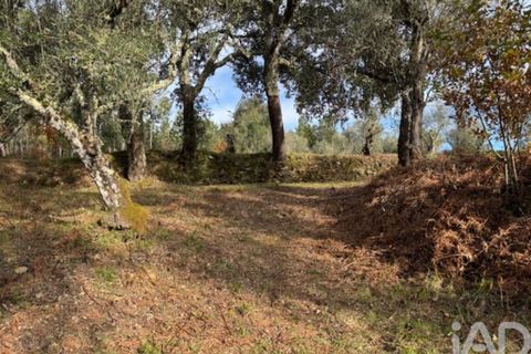 Byhus i Serta, Castelo Branco, Serta - € 57.000 | Ref: 787038 - foto 33