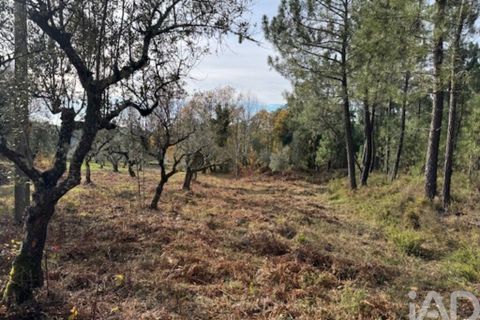 Byhus i Serta, Castelo Branco, Serta - € 57.000 | Ref: 787038 - foto 34
