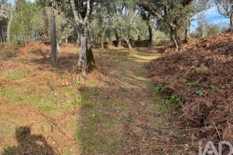 Byhus i Serta, Castelo Branco, Serta - € 57.000 | Ref: 787038 - foto 36