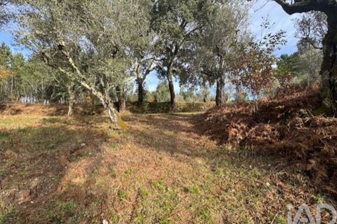 Byhus i Serta, Castelo Branco, Serta - € 57.000 | Ref: 787038 - foto 37