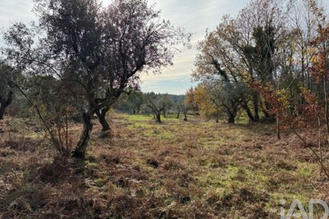 Byhus i Serta, Castelo Branco, Serta - € 57.000 | Ref: 787038 - foto 38