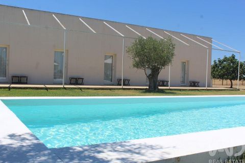 Erhvervsejendom i Beja, Beja, Beja - € 850.000 | Ref: 155482 - foto 2