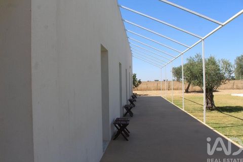 Erhvervsejendom i Beja, Beja, Beja - € 850.000 | Ref: 155482 - foto 4
