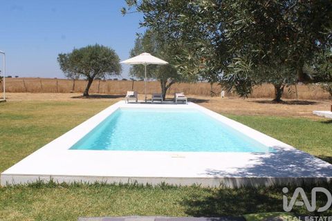 Erhvervsejendom i Beja, Beja, Beja - € 850.000 | Ref: 155482 - foto 6