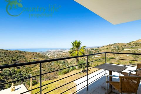 Villa a Sayalonga, Malaga, Sayalonga - € 1.350.000 | Ref: SAY004 - foto 35