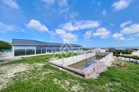 Villa i Sotogrande, Cadiz, Sotogrande - € 5.800.000 | Ref: MPA-0097 - foto 4