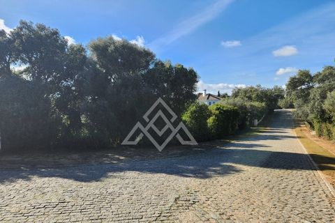 Helårsgrund i Sotogrande, Cadiz, Sotogrande - € 1.000.000 | Ref: MPA-0096 - foto 1