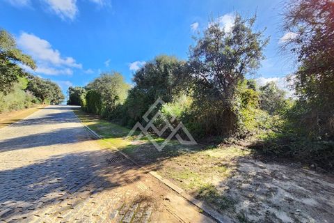 Helårsgrund i Sotogrande, Cadiz, Sotogrande - € 1.000.000 | Ref: MPA-0096 - foto 2