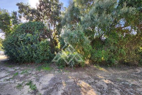 Helårsgrund i Sotogrande, Cadiz, Sotogrande - € 1.000.000 | Ref: MPA-0096 - foto 3