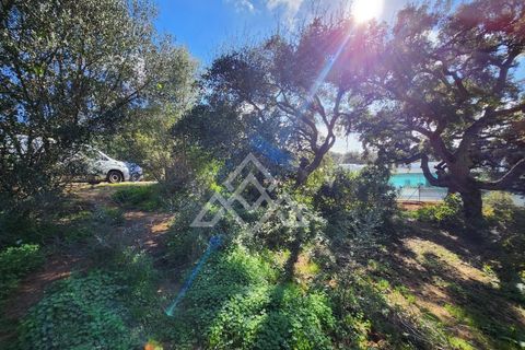 Helårsgrund i Sotogrande, Cadiz, Sotogrande - € 1.000.000 | Ref: MPA-0096 - foto 4